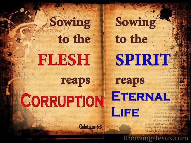 Galatians 6:8 Sowing To The Spirit Reaps Eternal Life (brown)